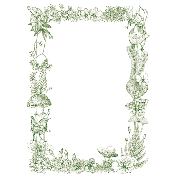 framedesign