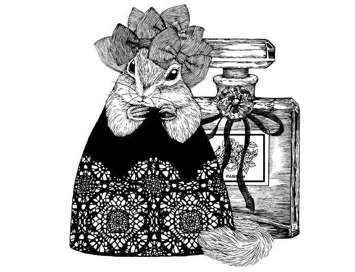 illust
