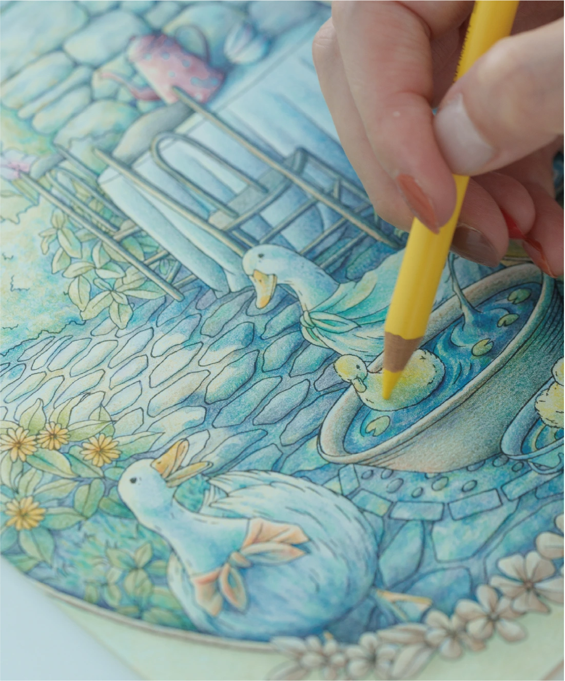 coloring studio main image