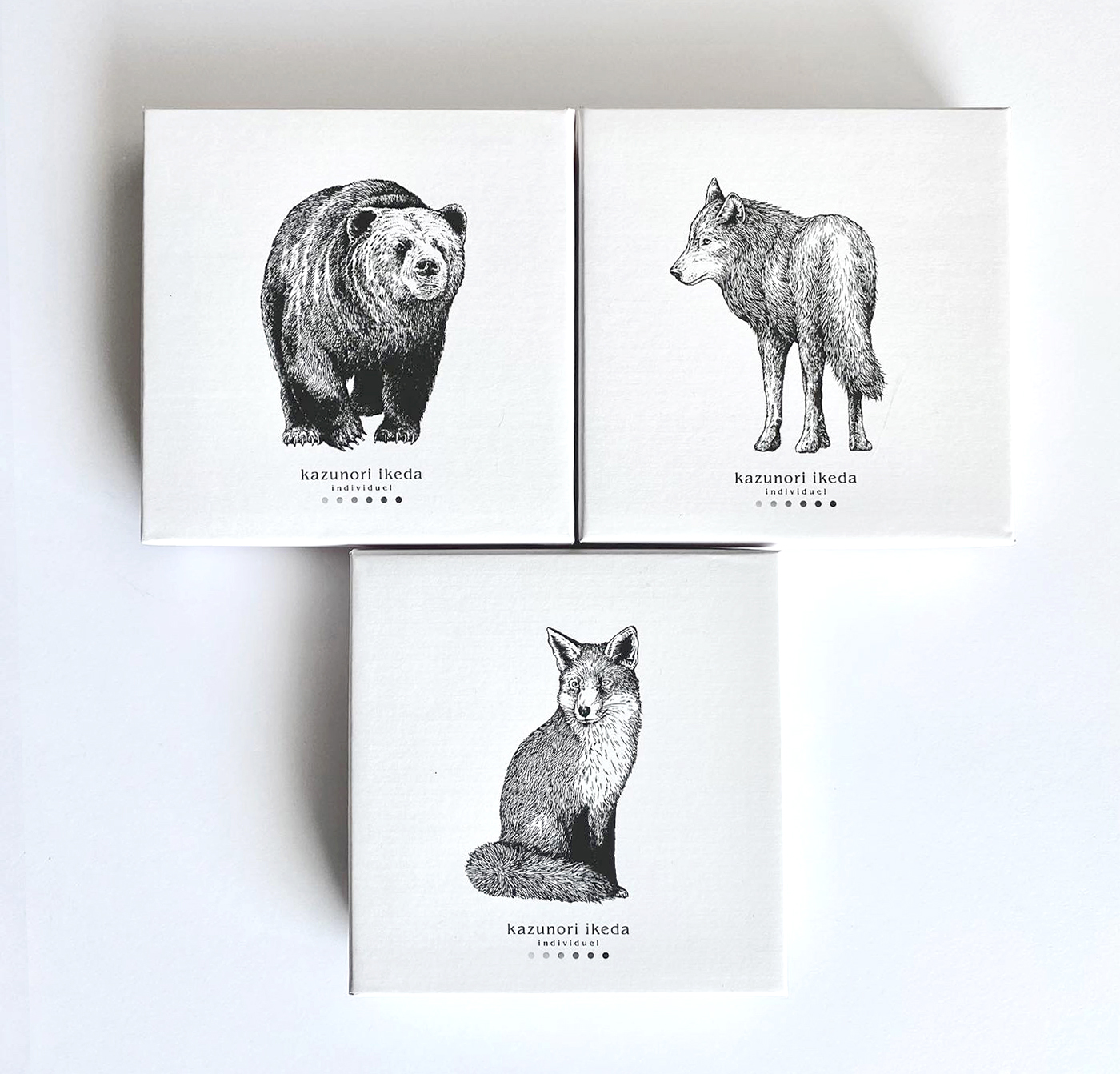 Illustrations for Kazunori ikeda individuel